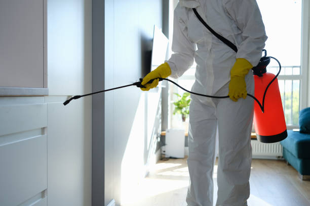 Best Attic Mold Remediation in Dublin, GA