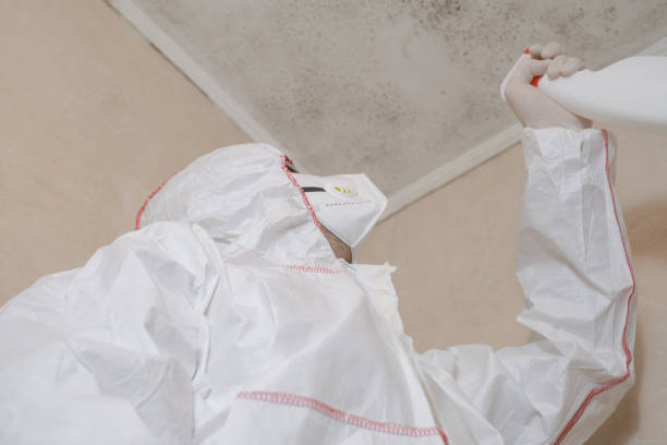Best DIY Mold Remediation Support Services in Dublin, GA