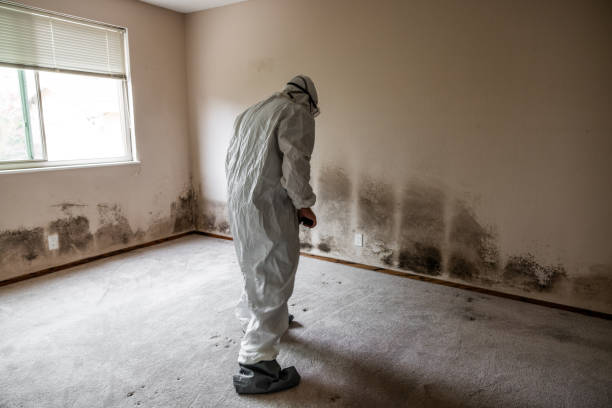 Dublin, GA Mold Remediation Company