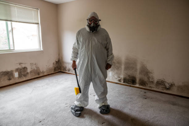 Best Industrial Mold Remediation in Dublin, GA